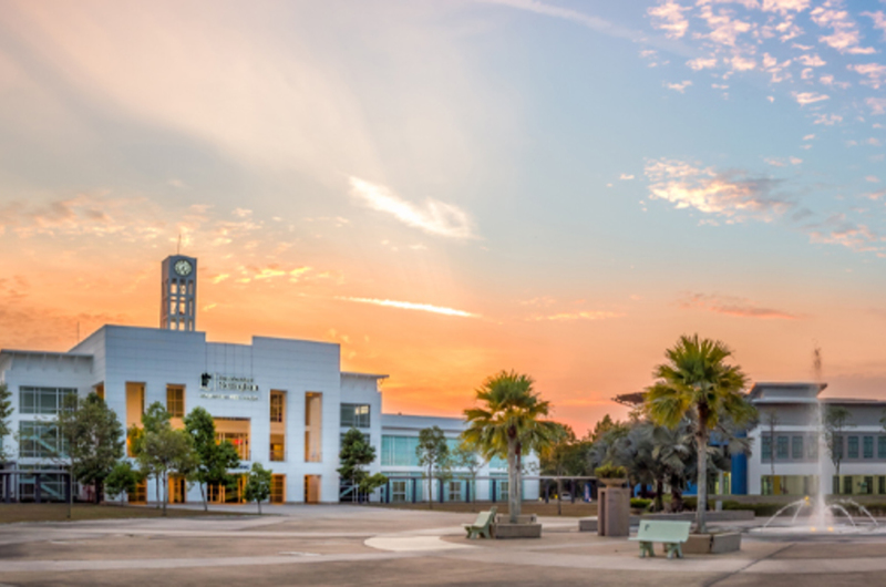 Medium 714x335 history